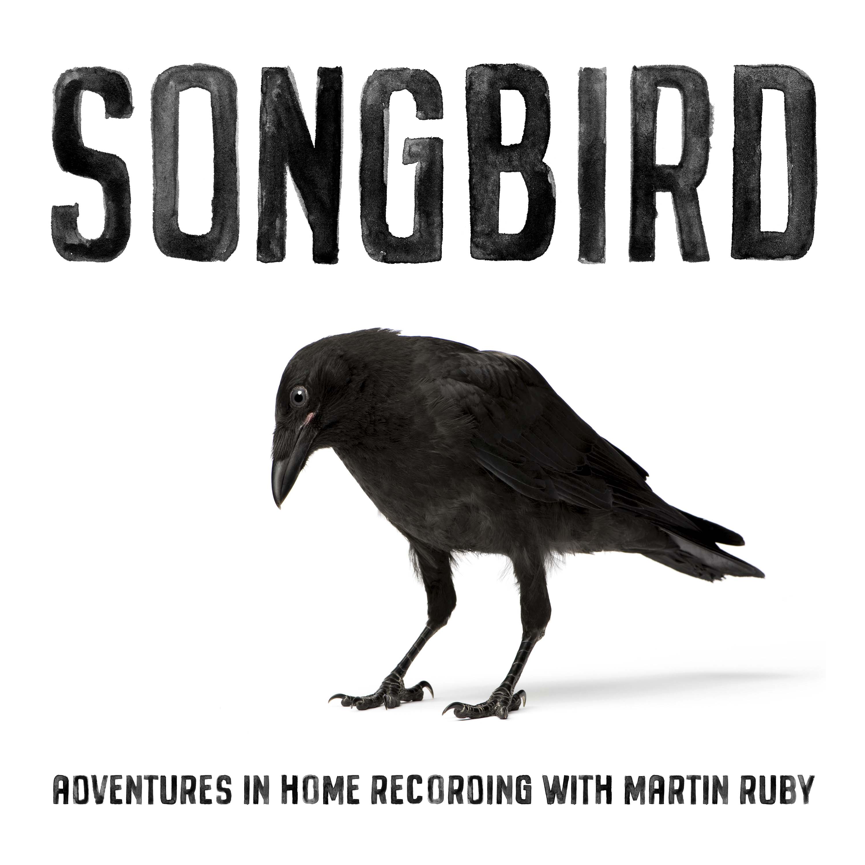 SONGBIRD | Adventures in home recording with Martin Ruby
