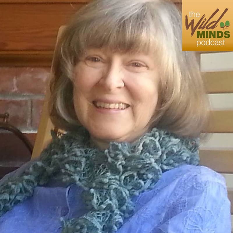 Artwork for podcast The Wild Minds Podcast