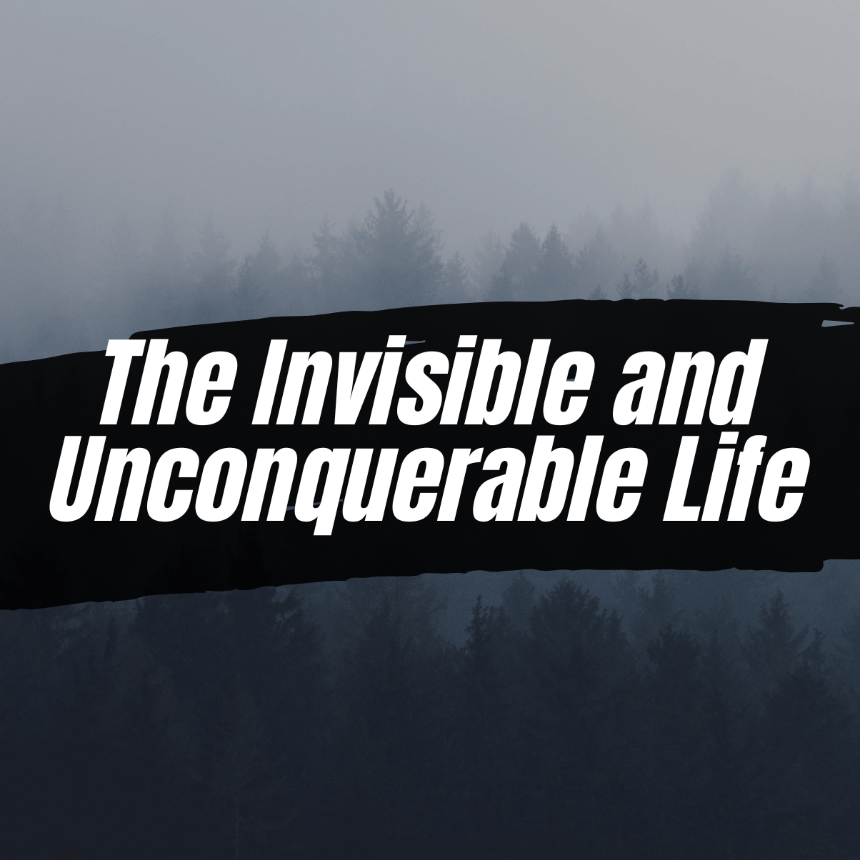 The Invisible and Unconquerable Life - By Evangelist Yohannes Cheru episode artwork