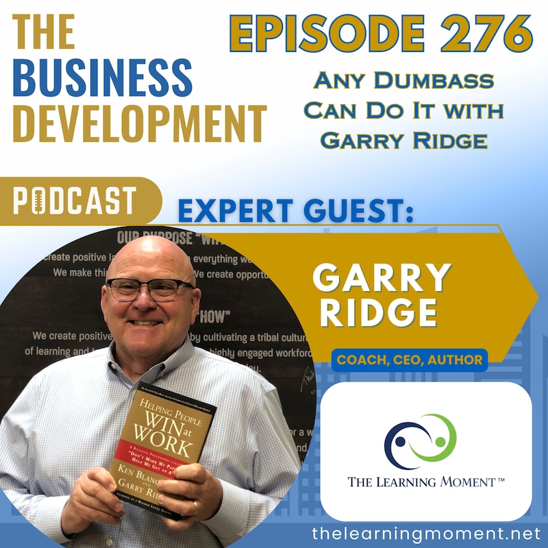 Artwork for podcast The Business Development Podcast