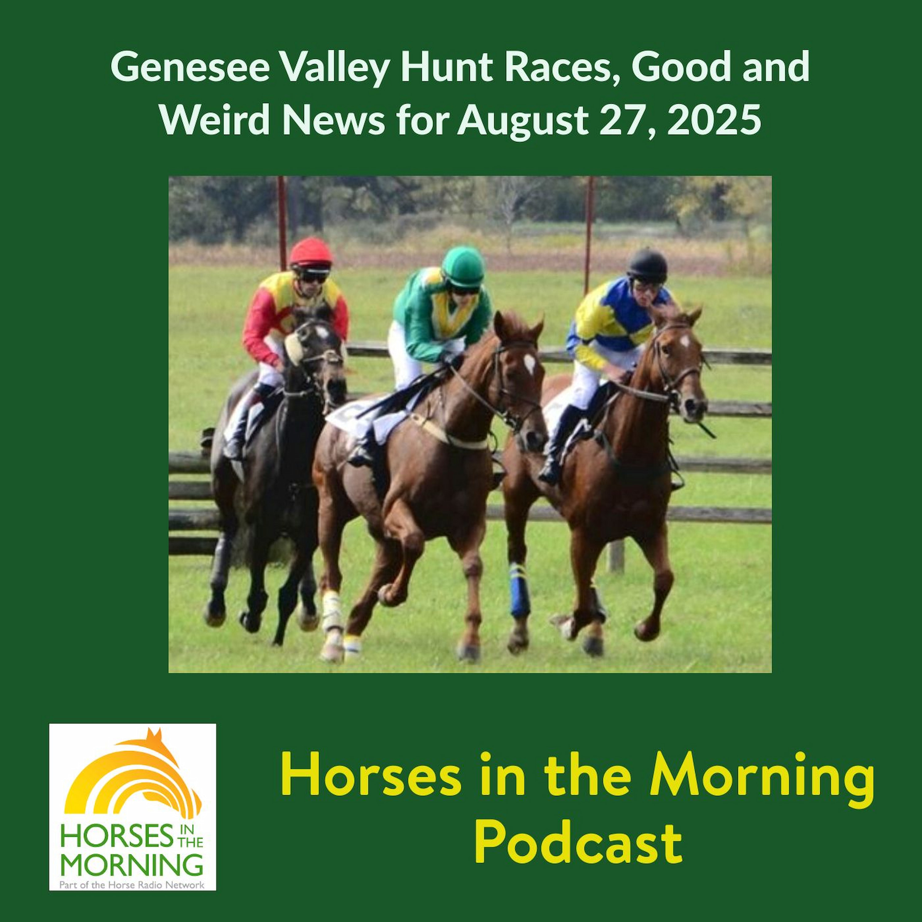 Genesee Valley Hunt Races, Good and Weird News for August 27, 2025 - HORSES IN THE MORNING