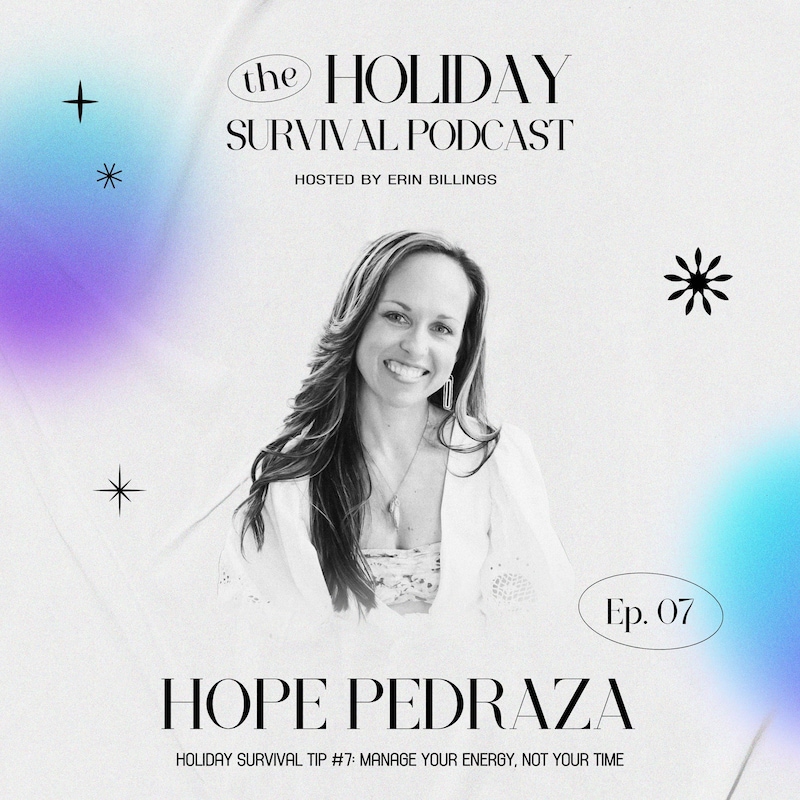 Artwork for podcast The Holiday Survival Podcast 2023