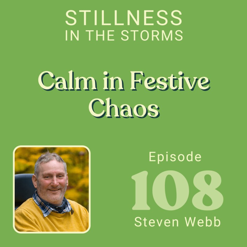 Artwork for podcast Stillness in the Storms