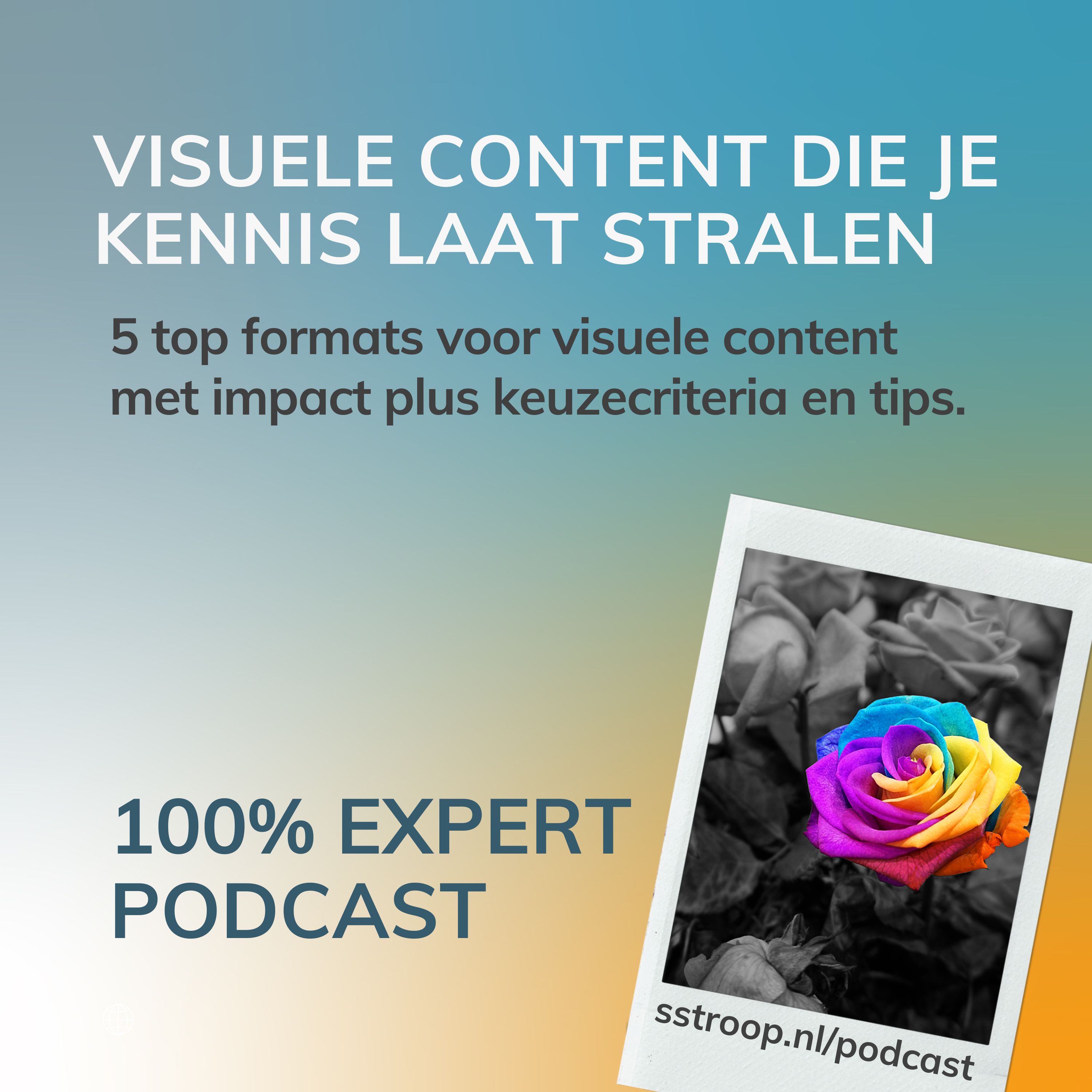 100% Expert Podcast