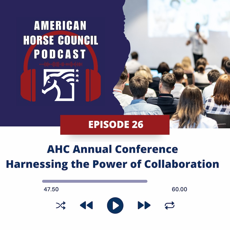 Artwork for podcast Horses in the Morning