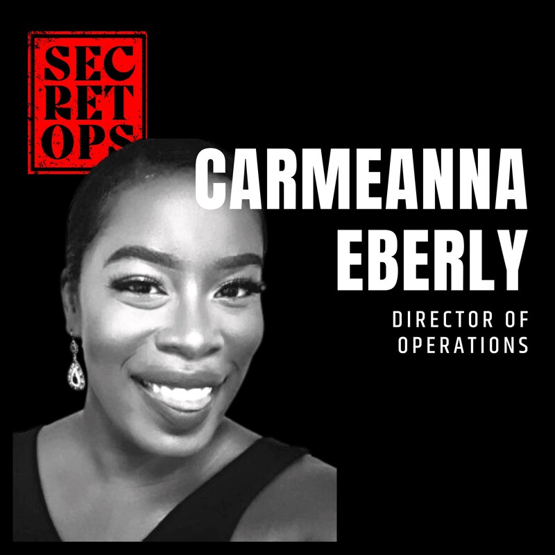 Artwork for podcast Secret Ops