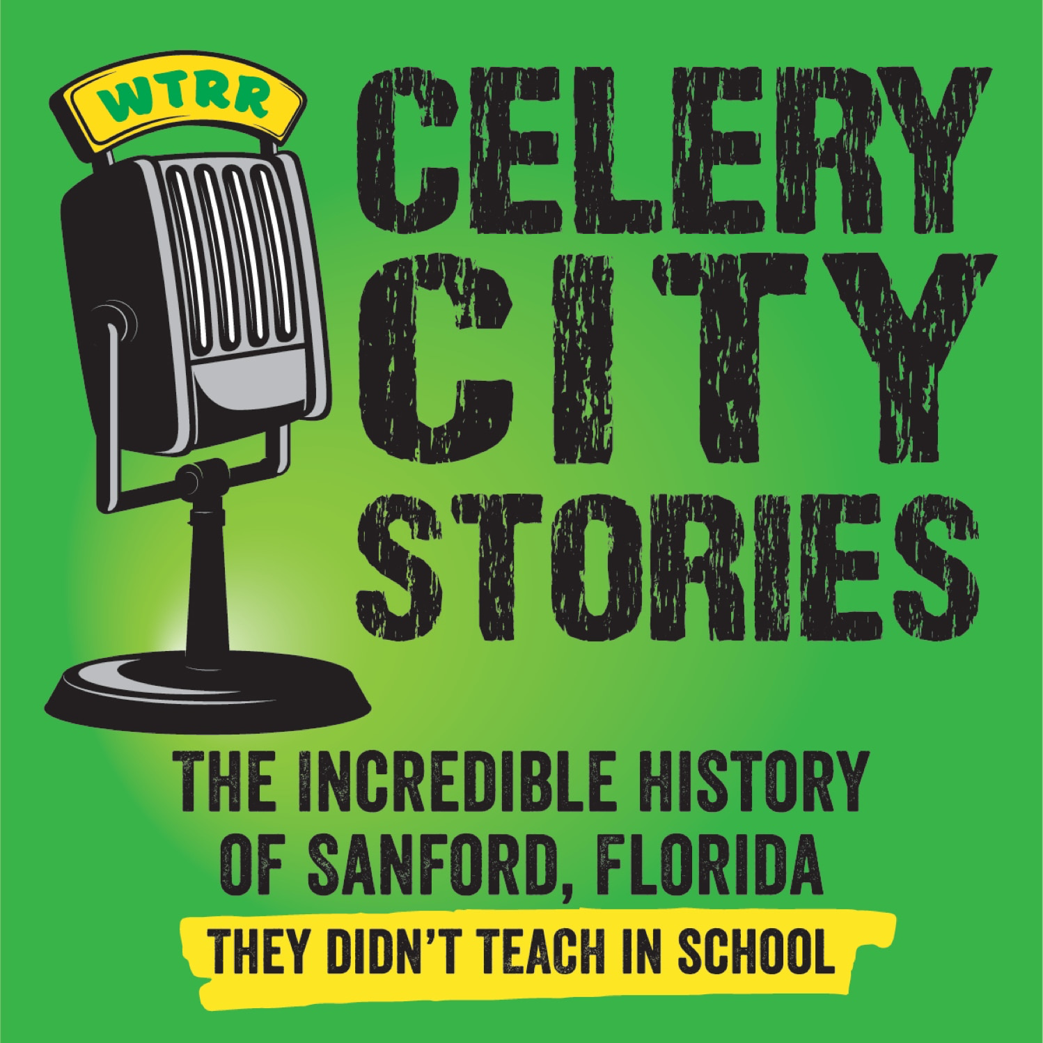 Artwork for podcast Celery City Stories