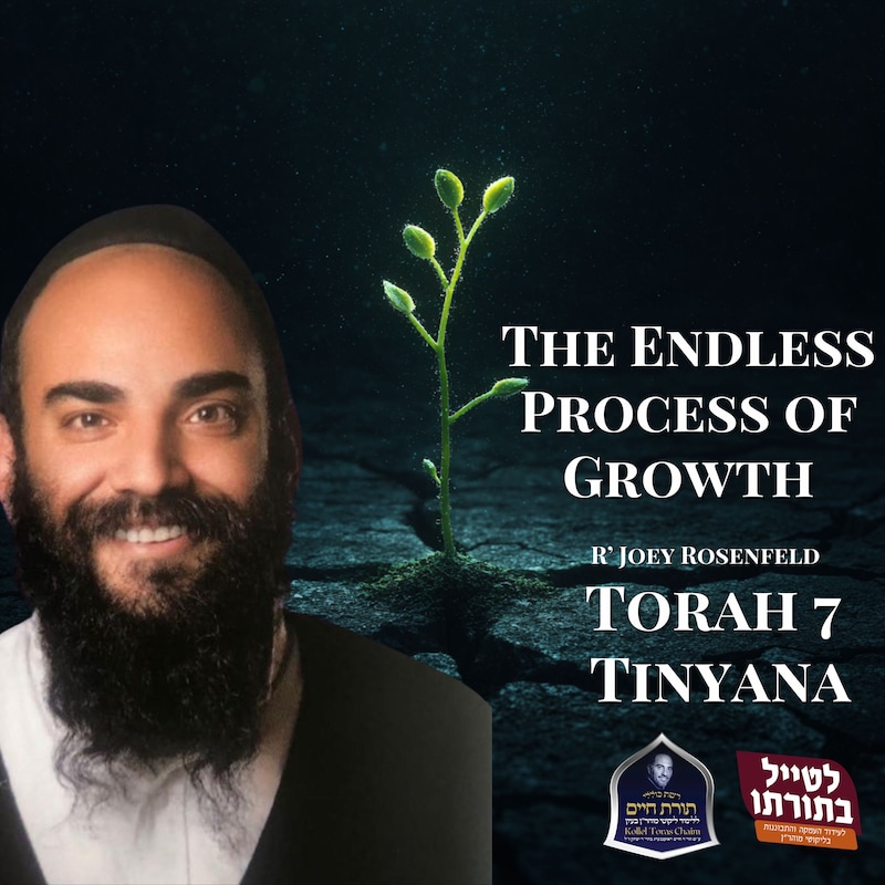 Artwork for podcast Kollel Toras Chaim All Shiurim
