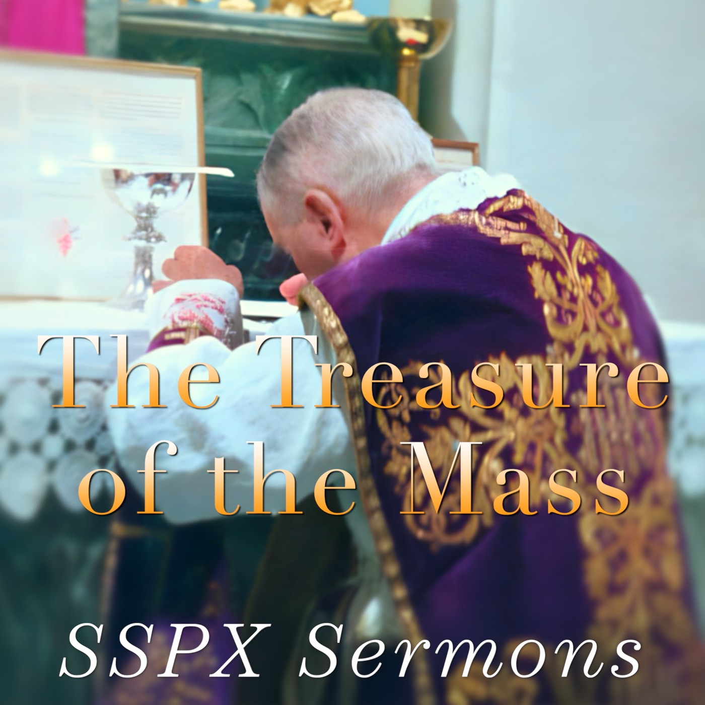 The Treasure of the Mass - SSPX Sermons