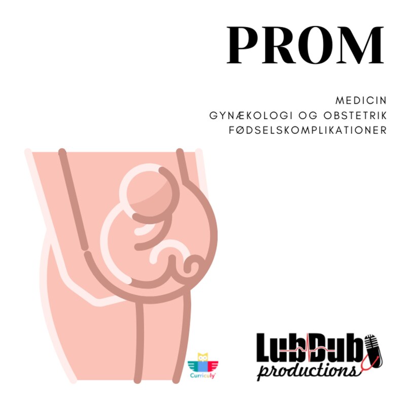Artwork for podcast Lubdubs pensumpodcasts - Ny kanal