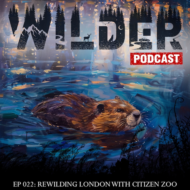 Artwork for podcast Wilder Podcast