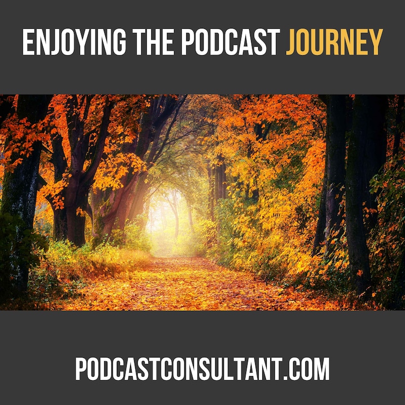 Artwork for podcast Your Podcast Consultant: Podcast Tips To Avoid Podcasting Mistakes