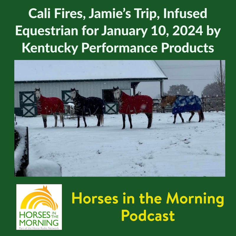 Artwork for podcast Horses in the Morning
