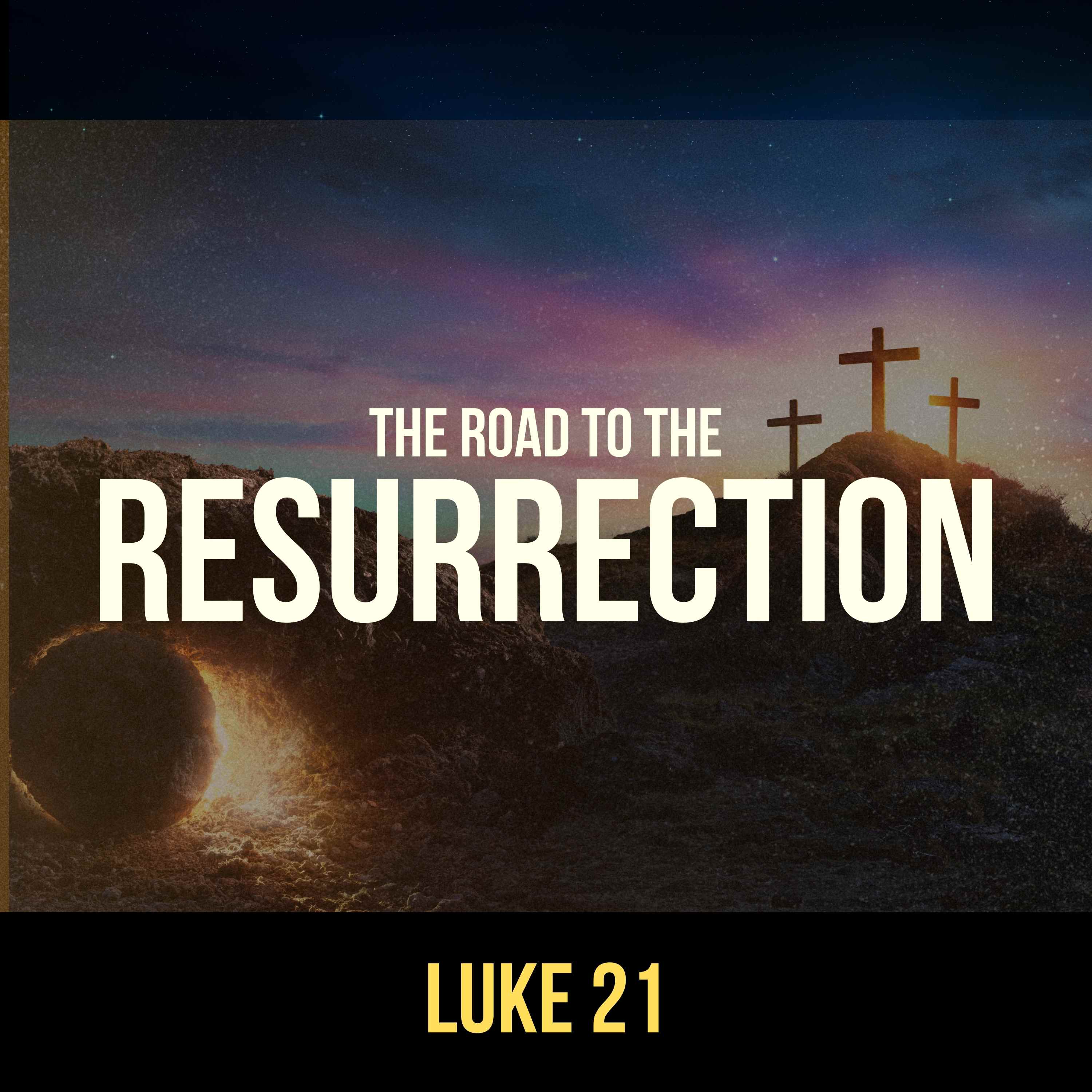 The Road to the Resurrection: The Widow & The Discourse (North OC) episode artwork