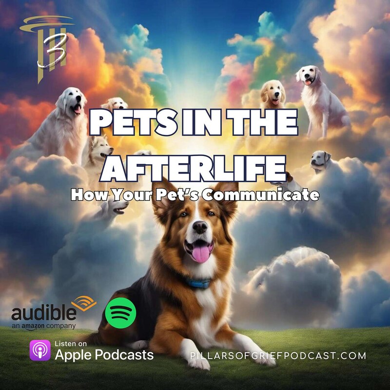 Artwork for podcast Pillars Of Grief