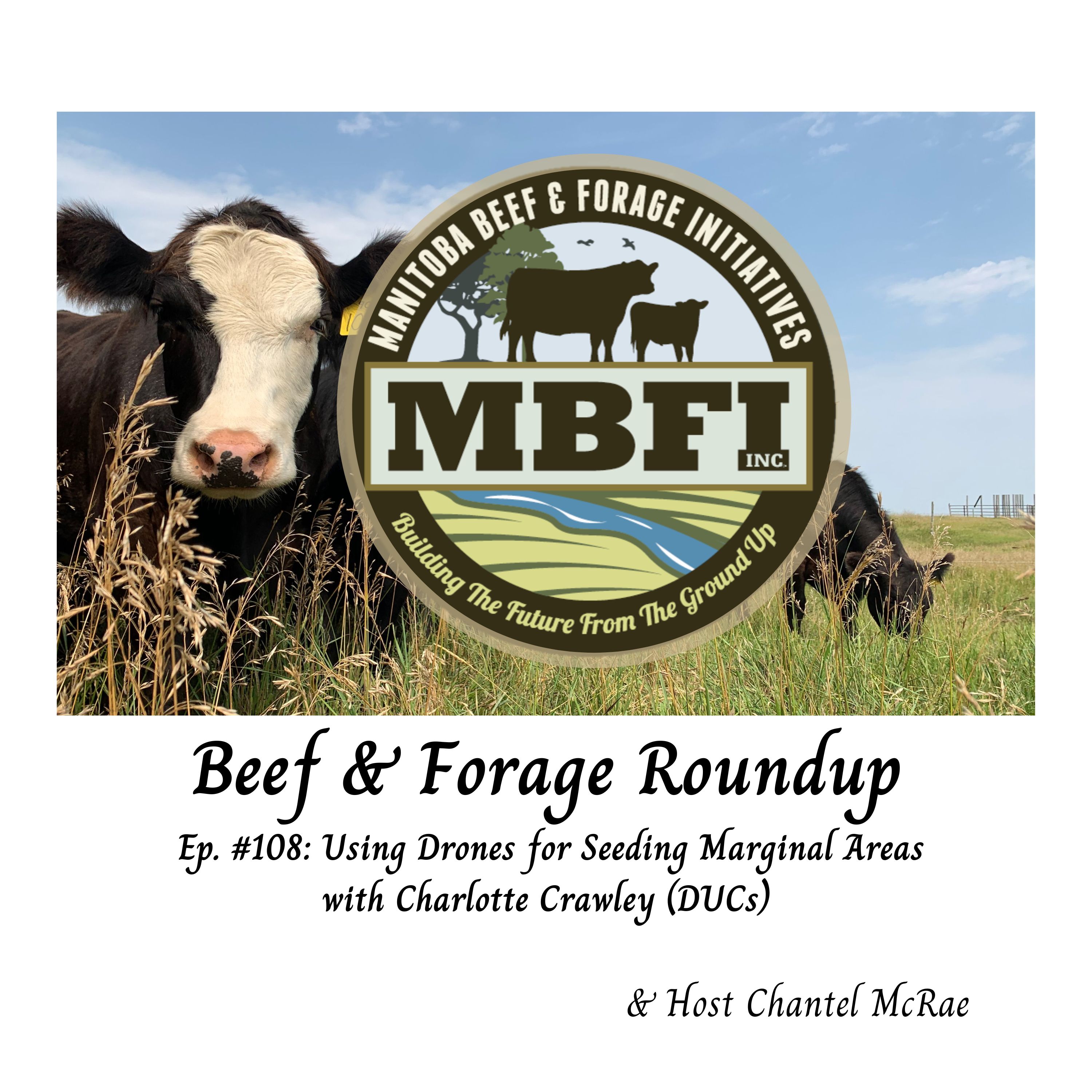 Beef and Forage Roundup