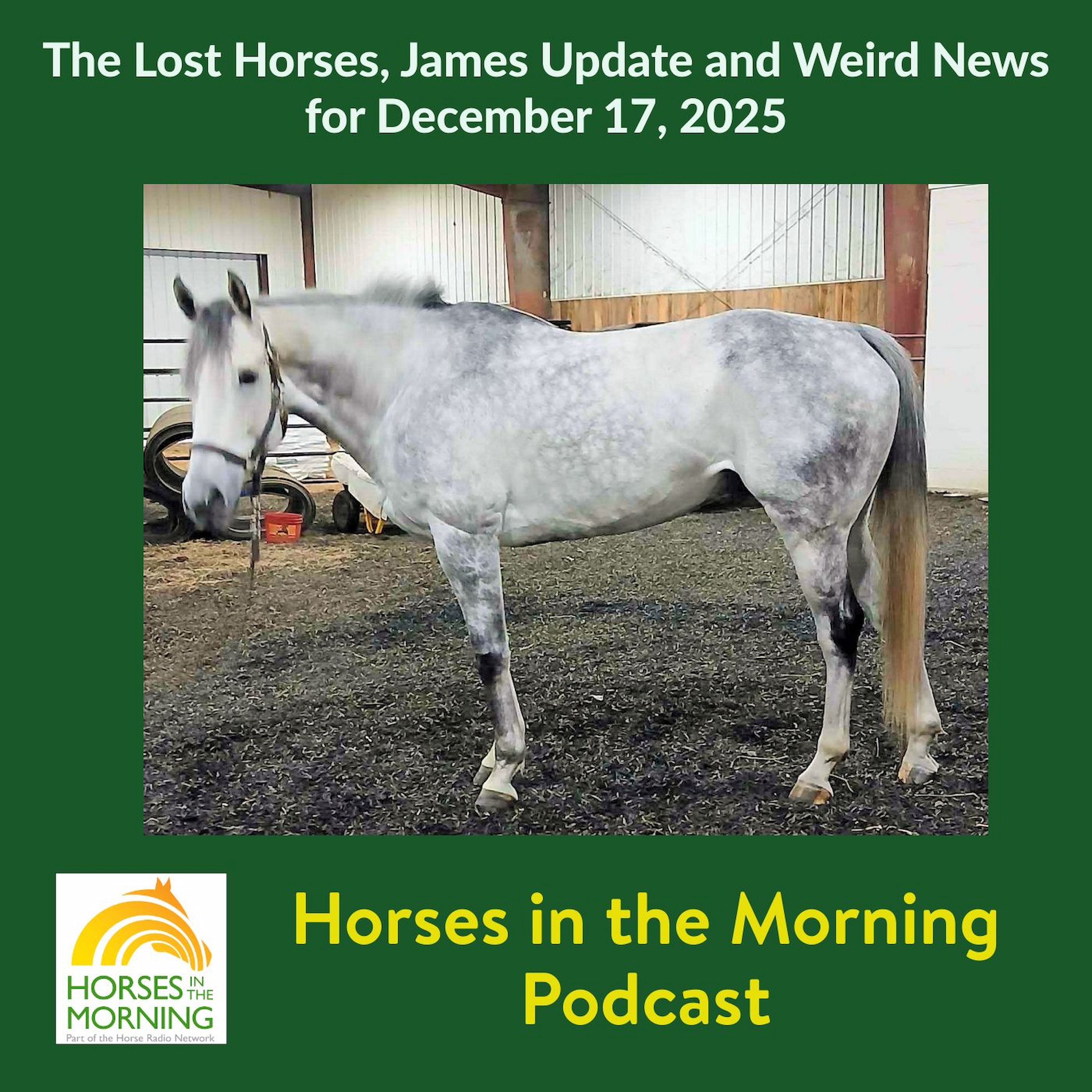The Lost Horses, James Update and Weird News for December 17, 2025 The Lost Horses, James Update and Weird News for December 17, 2025