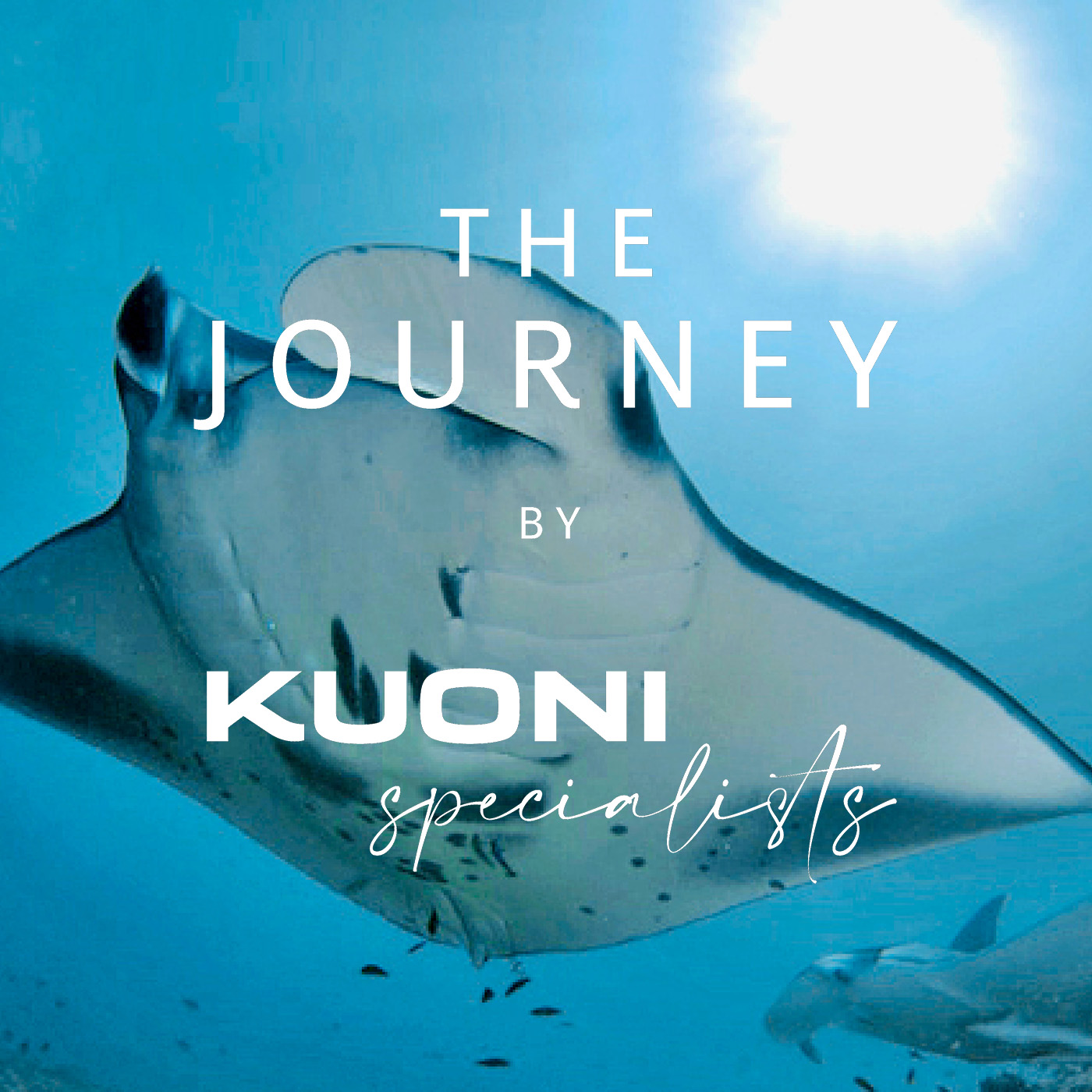 The Journey