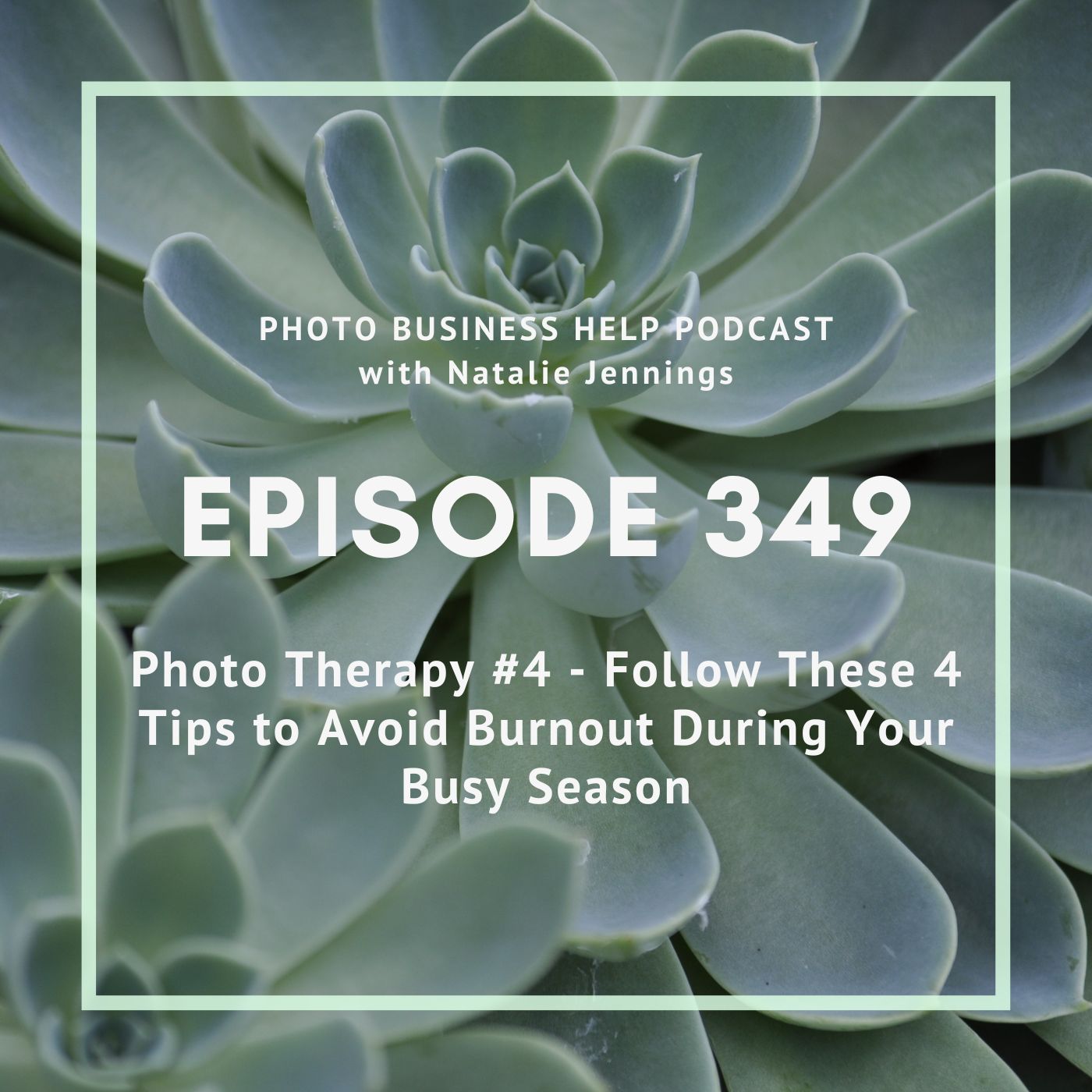 349 Photo Therapy #4 - Follow These 4 Tips to Avoid Burnout During Your Busy Season