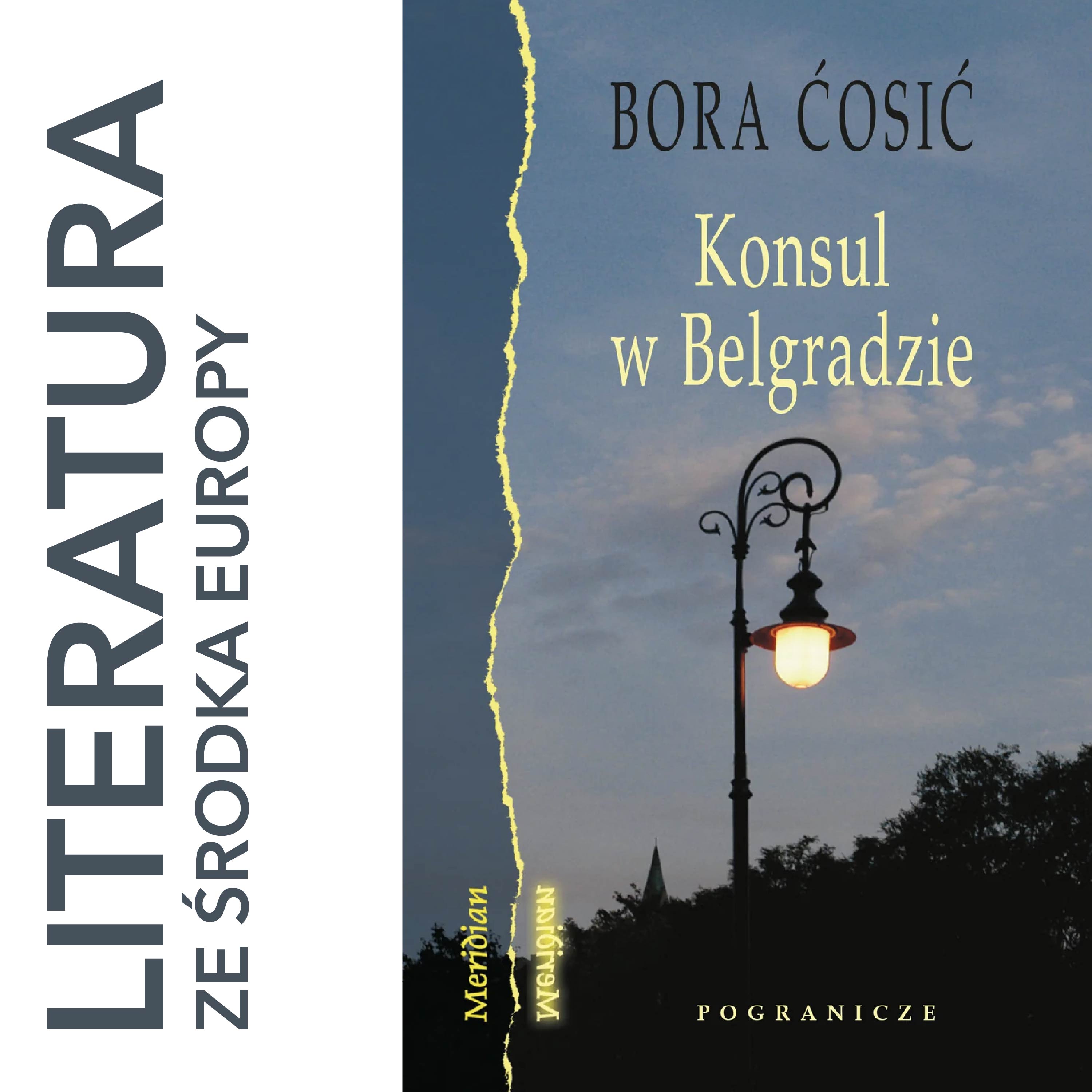 Bora Ćosić - Konsul w Belgradzie (2007) episode artwork