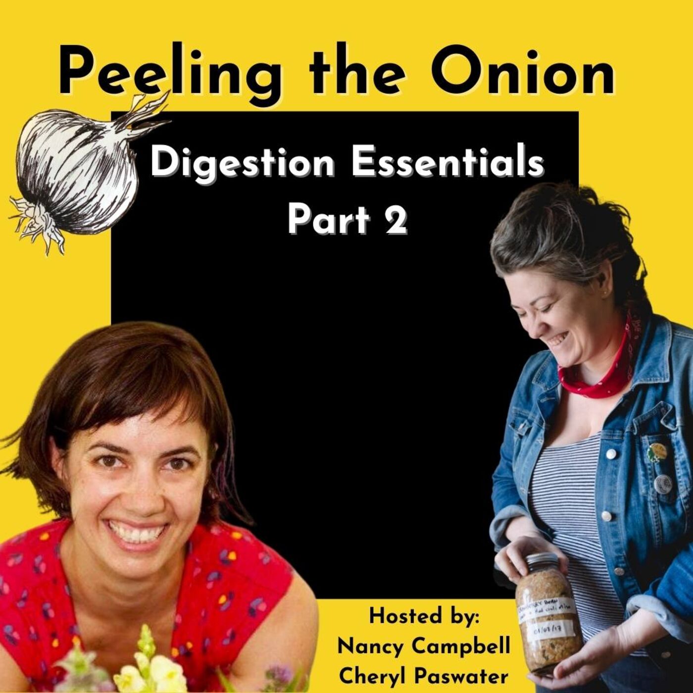 Peeling the Onion: Discovering the Layers of Health