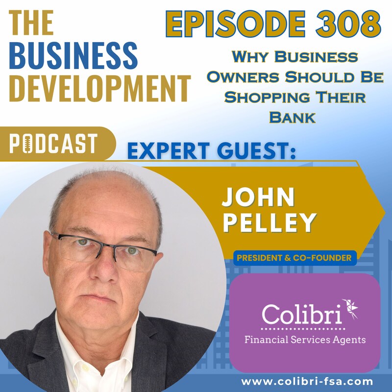 Artwork for podcast The Business Development Podcast