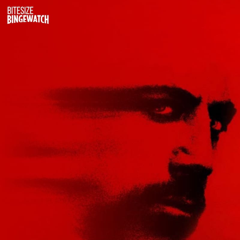 Artwork for podcast Bitesize Bingewatch