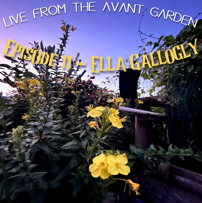Artwork for podcast Live from the Avant Garden