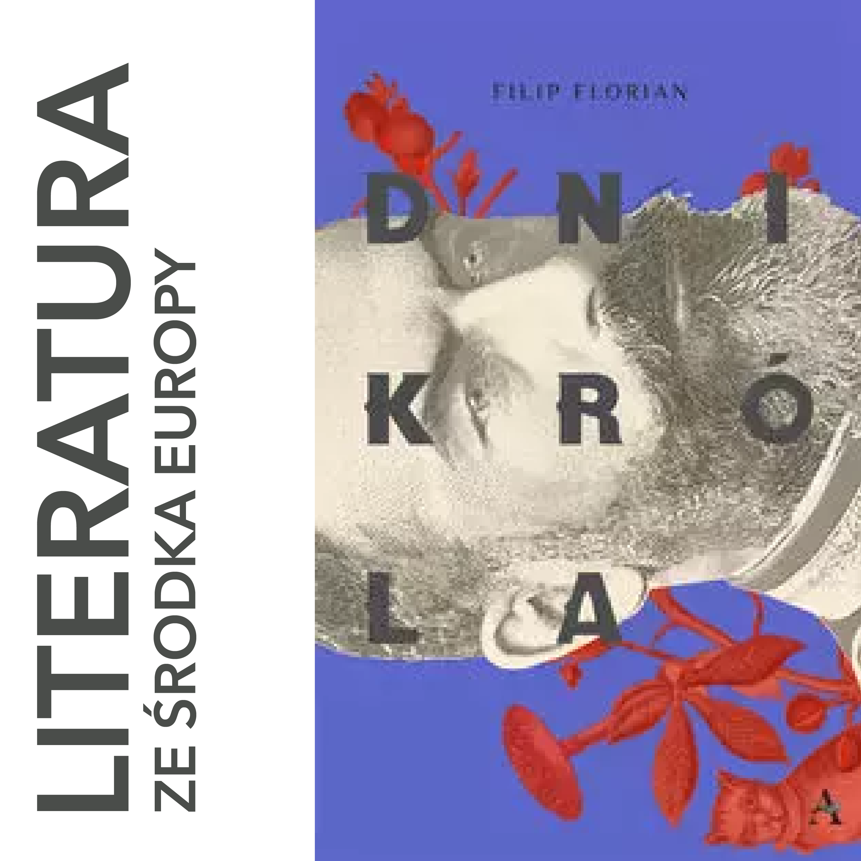 literatura ze środka Europy