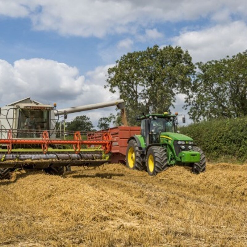 Artwork for podcast AHDB Food & Farming