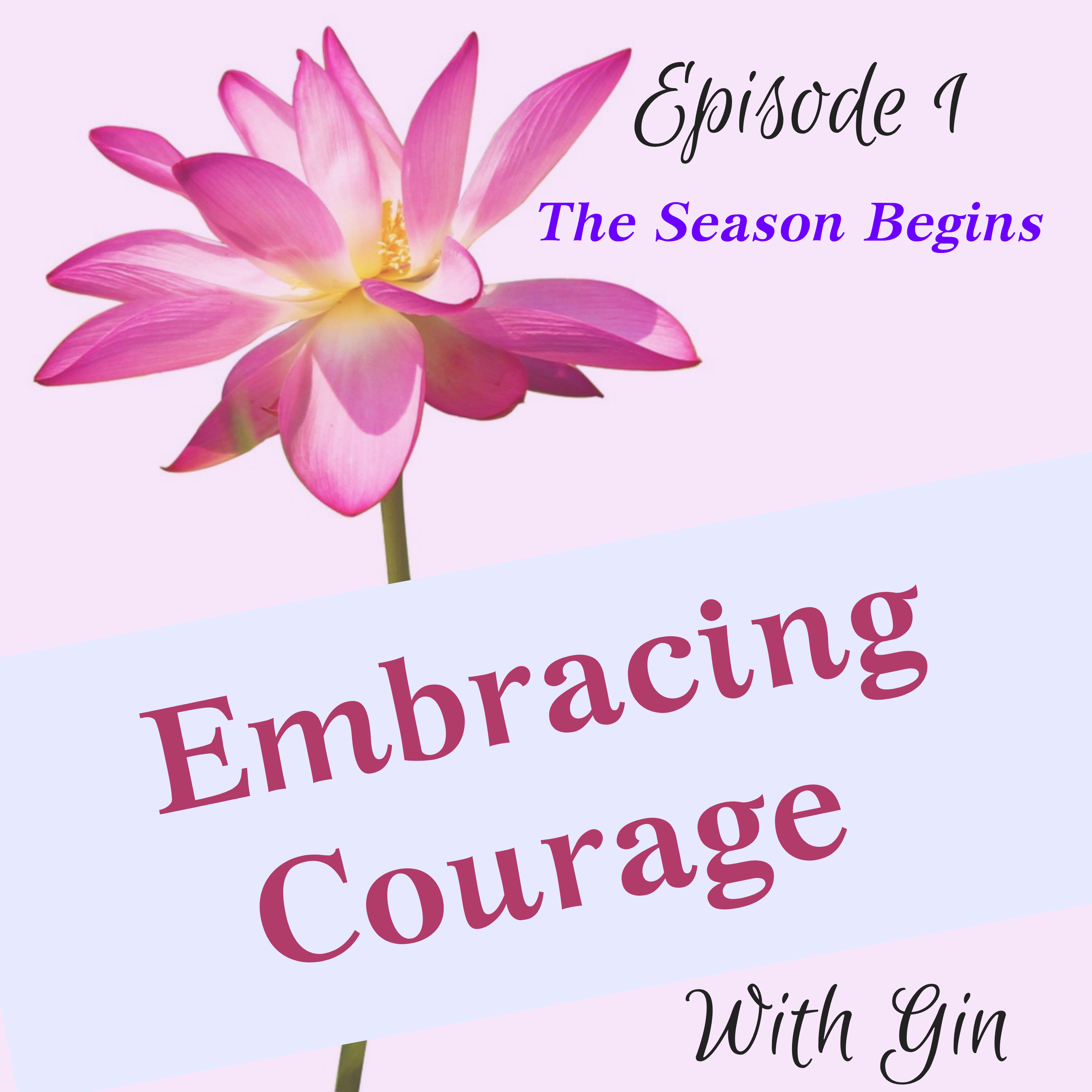 Artwork for podcast Embracing Courage