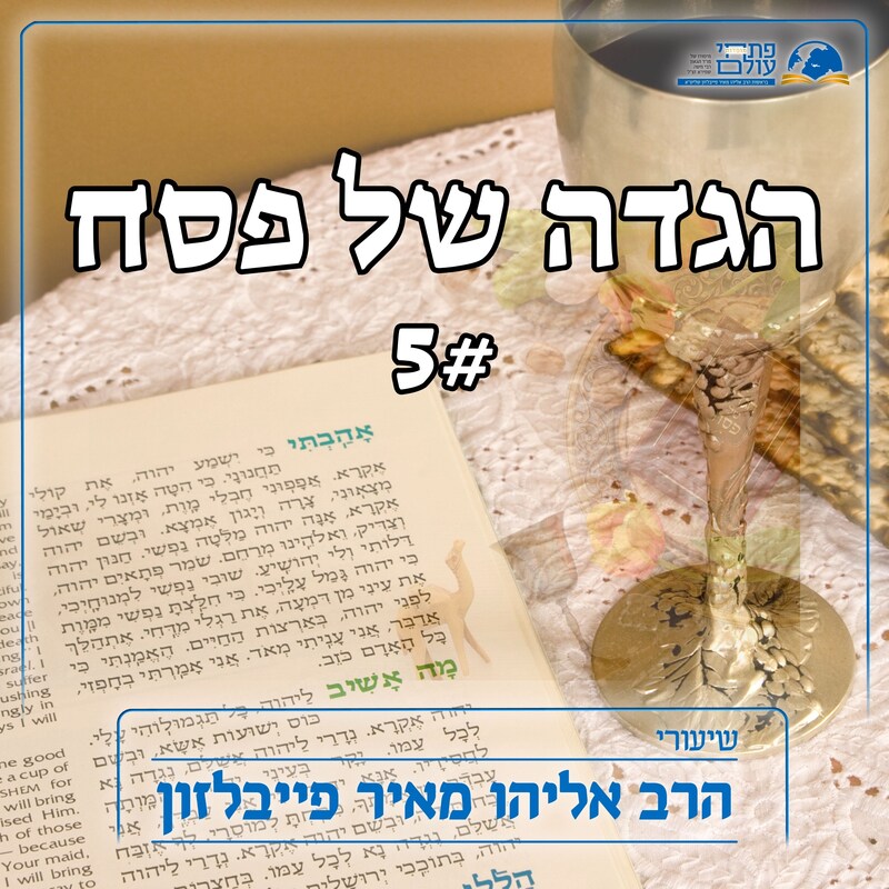 Artwork for podcast שיעורי הרב פייבלזון