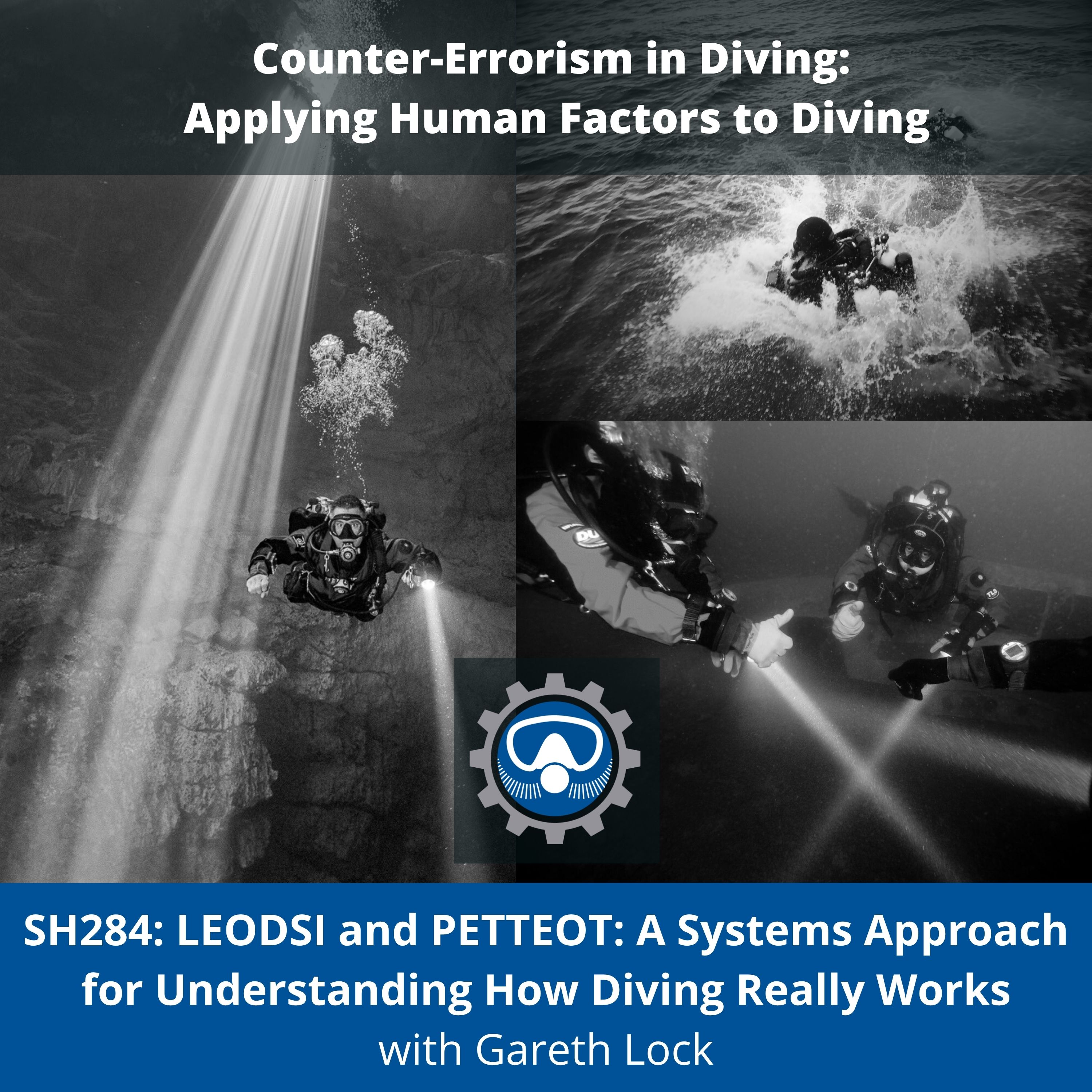 SH284: LEODSI and PETTEOT: A Systems Approach for Understanding How Diving Really Works