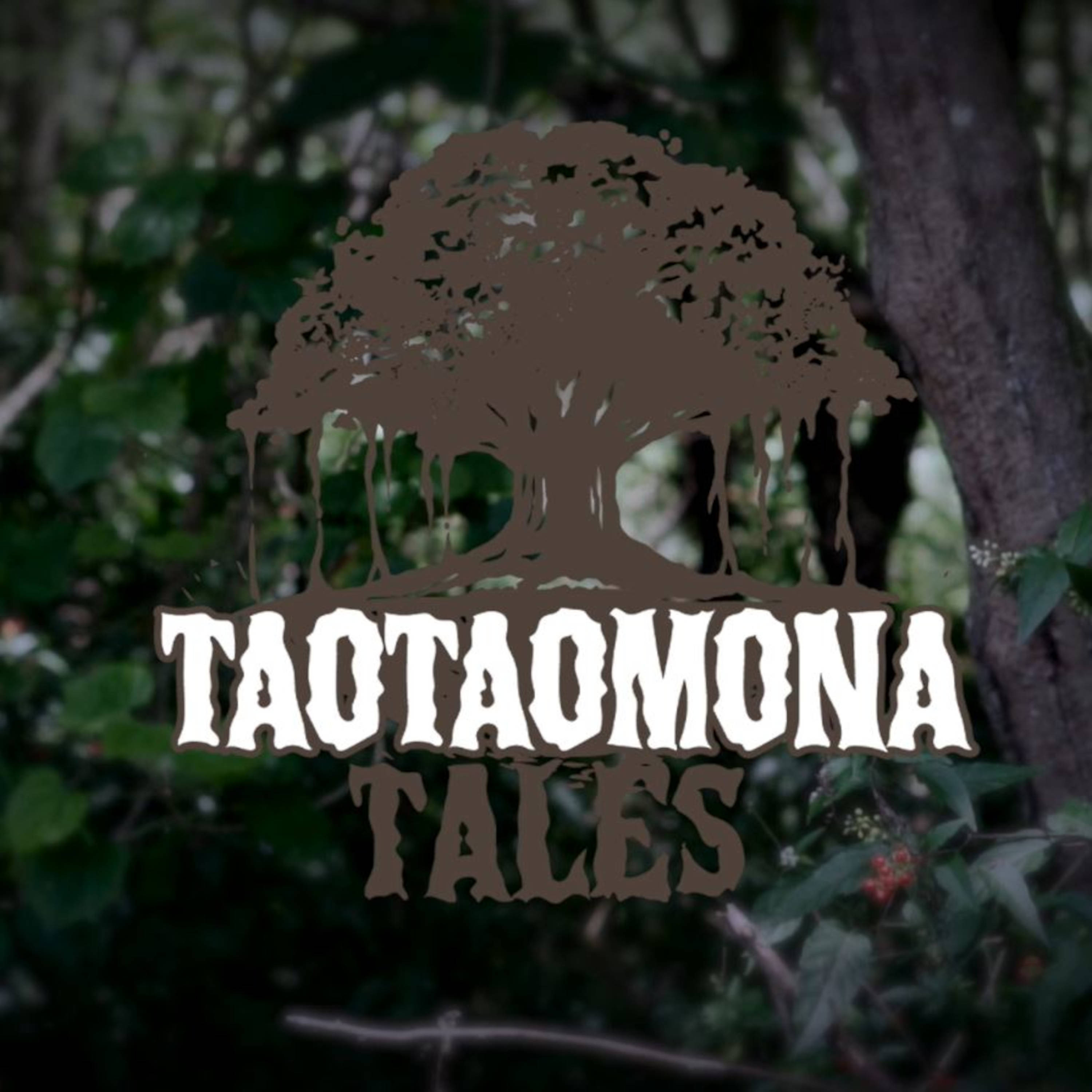 Artwork for Taotaomona Tales