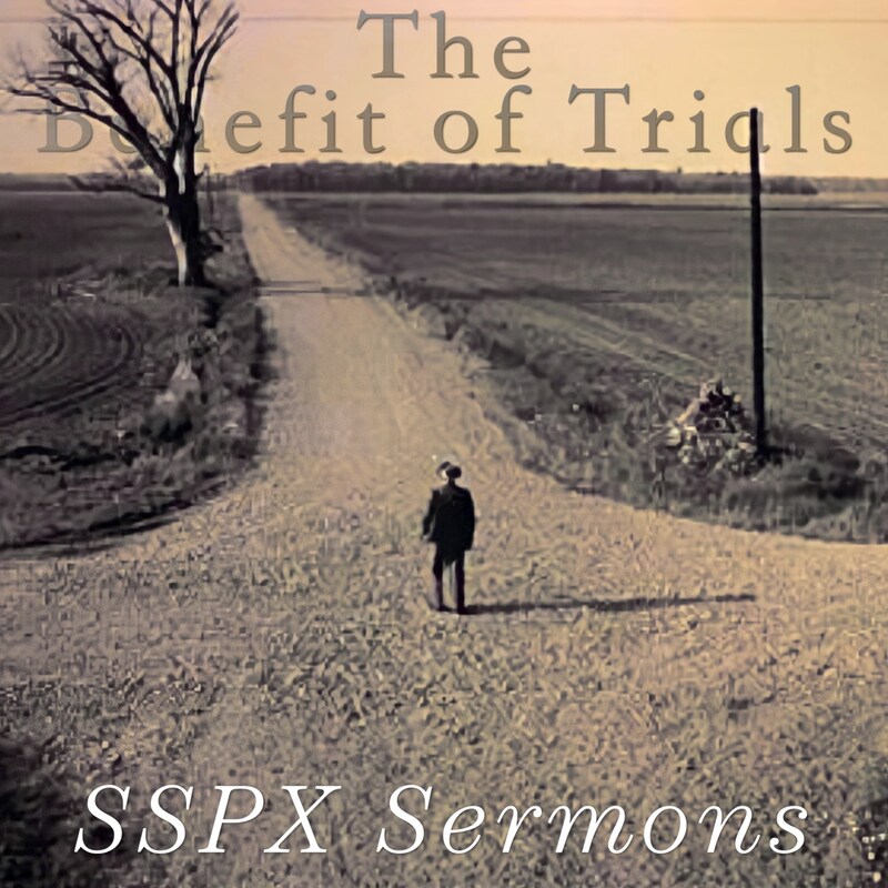 Artwork for podcast SSPX Sermons