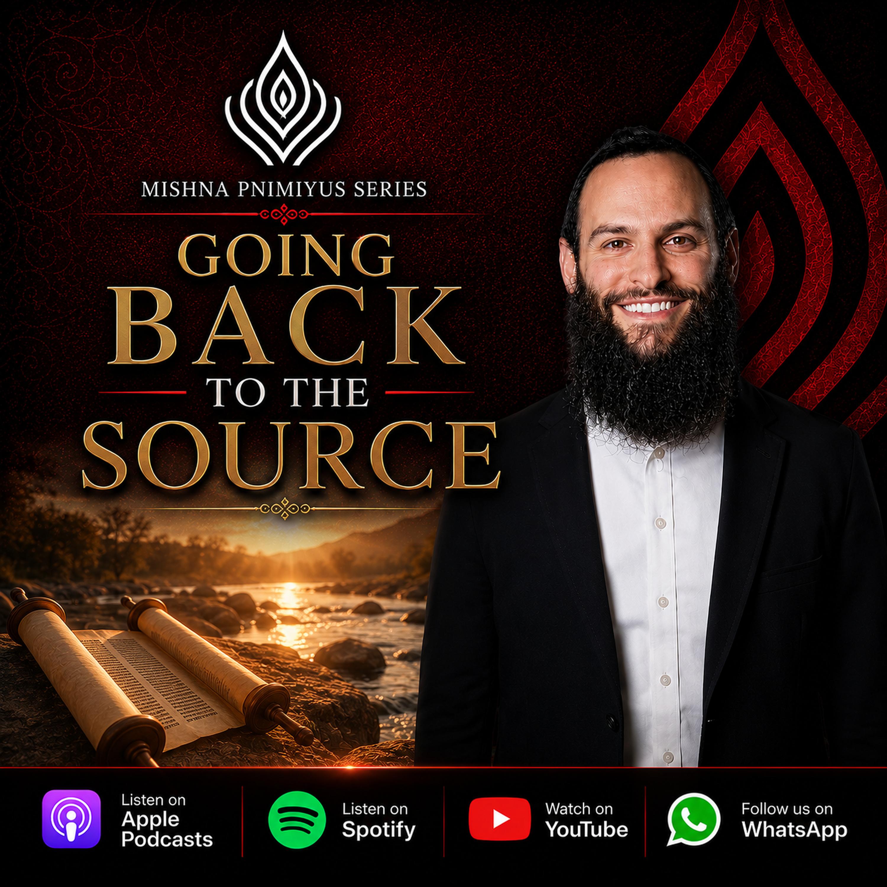 Going Back to the Source episode artwork