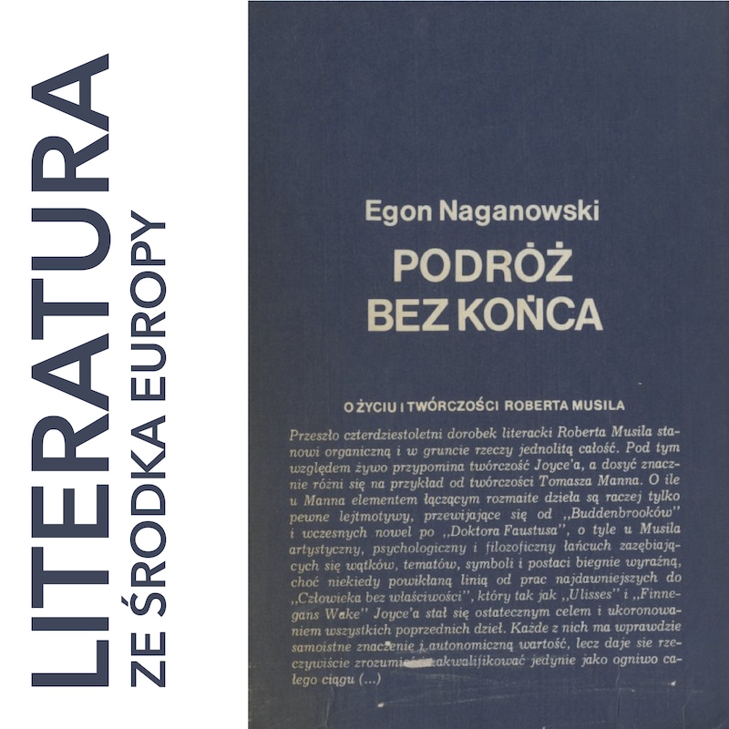 Artwork for podcast literatura ze środka Europy