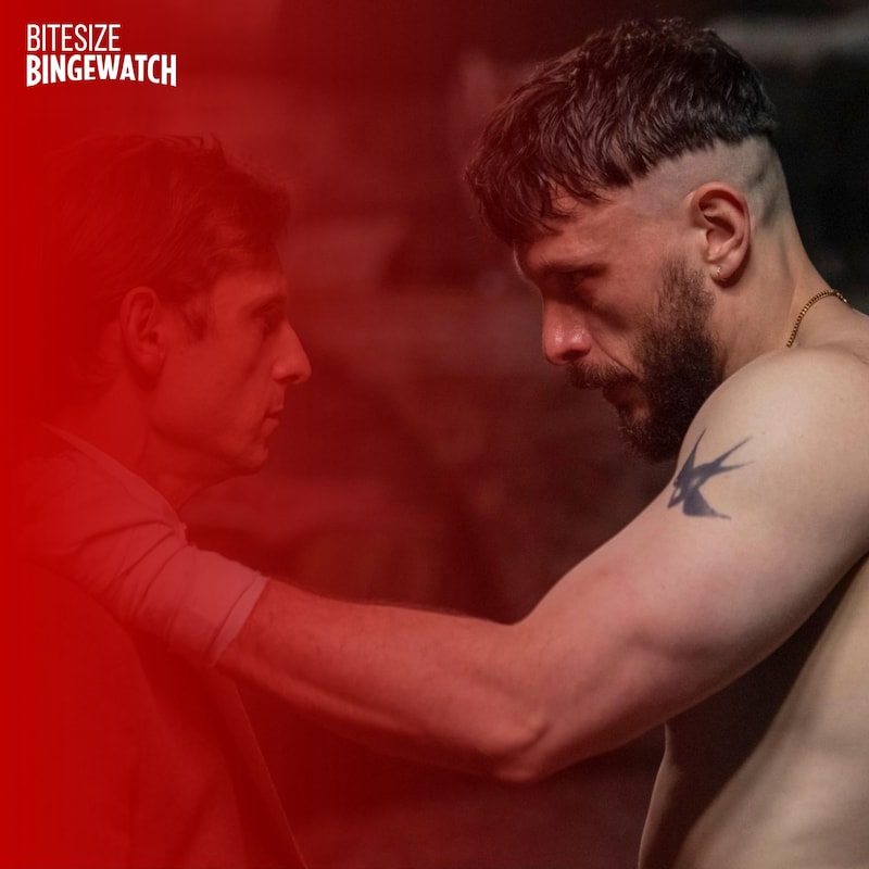 Artwork for podcast Bitesize Bingewatch