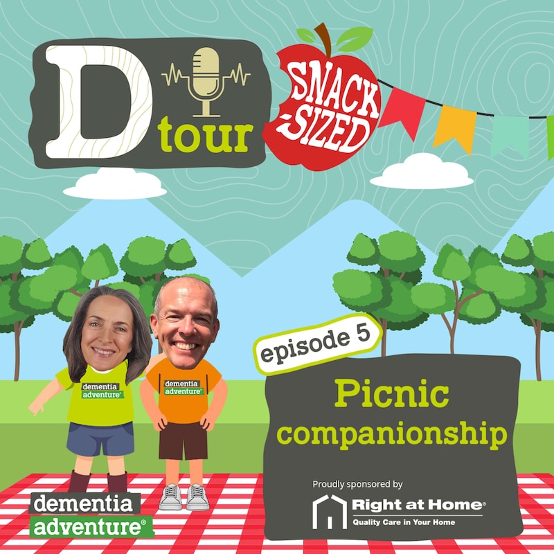 Artwork for podcast D Tour
