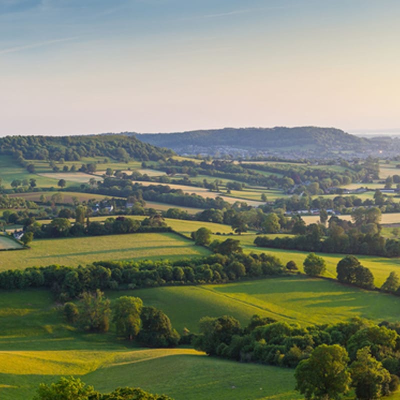 Artwork for podcast AHDB Food & Farming