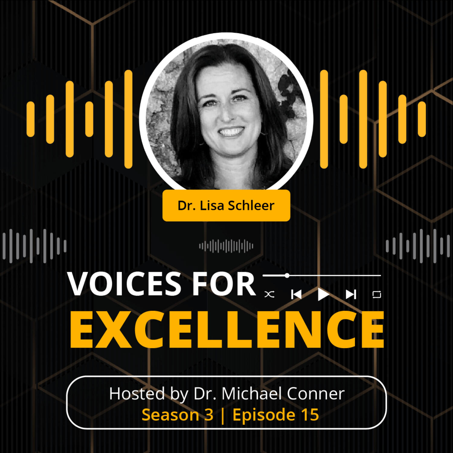 Voices for Excellence