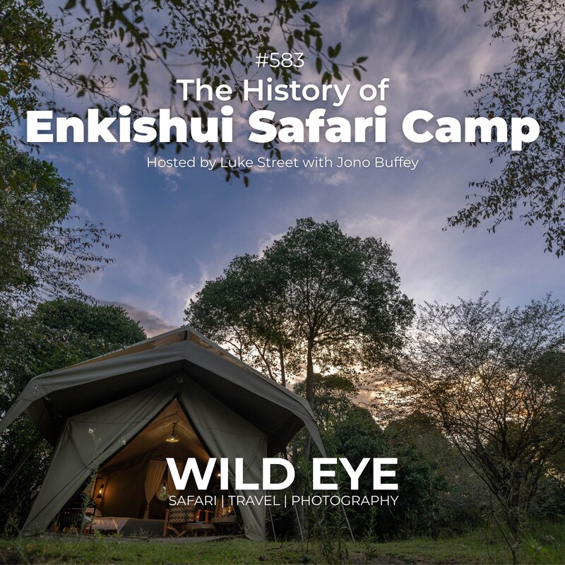 Artwork for podcast The Wild Eye Podcast