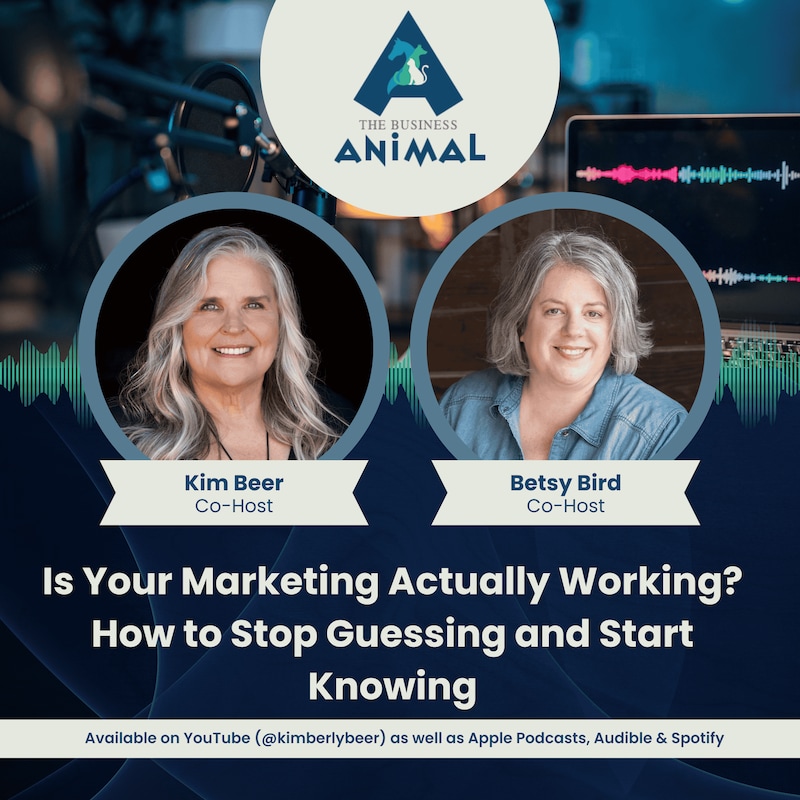 Artwork for podcast The Business Animal
