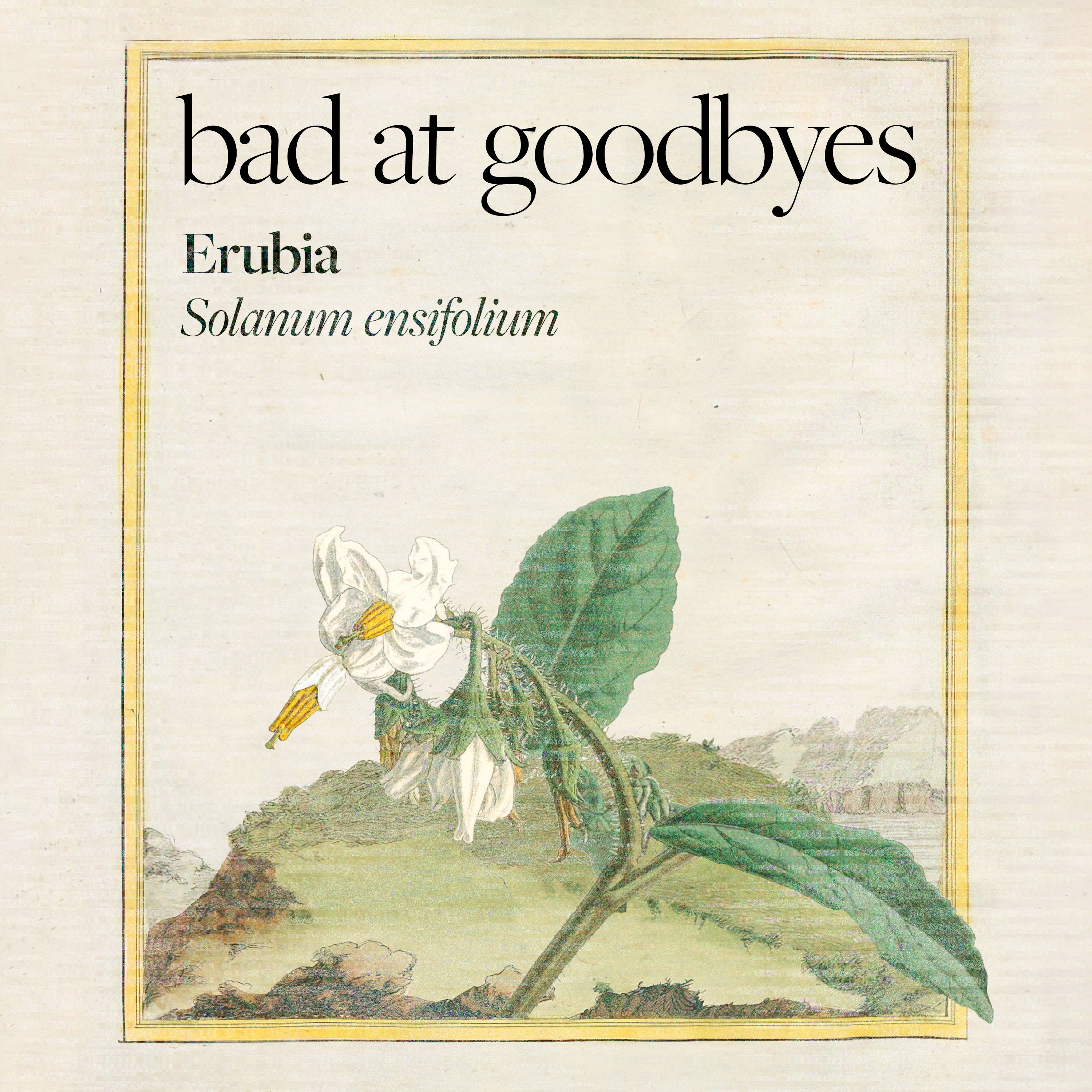 Bad at Goodbyes