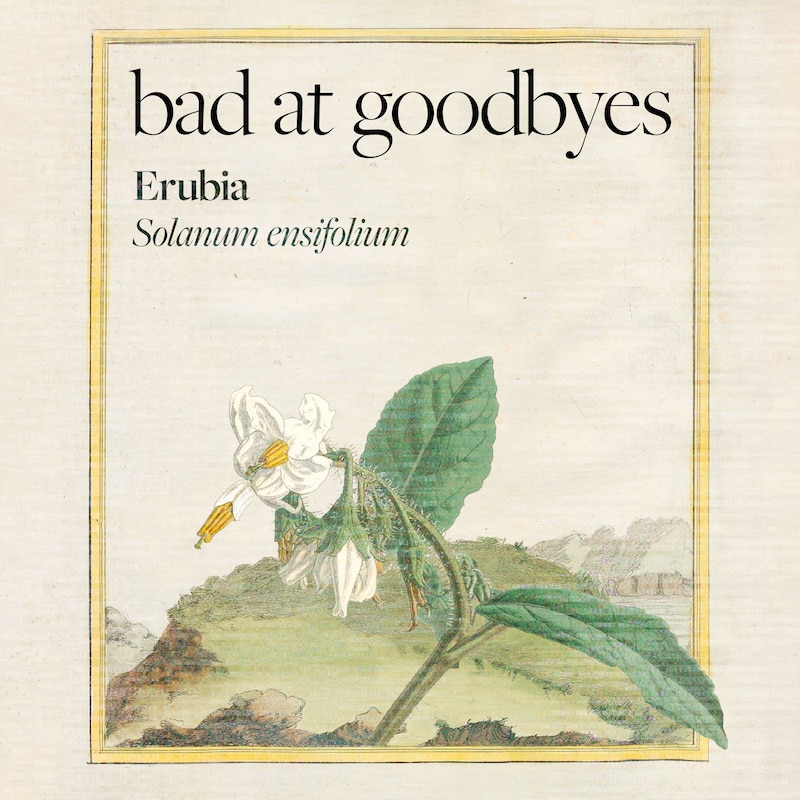 Artwork for podcast Bad at Goodbyes