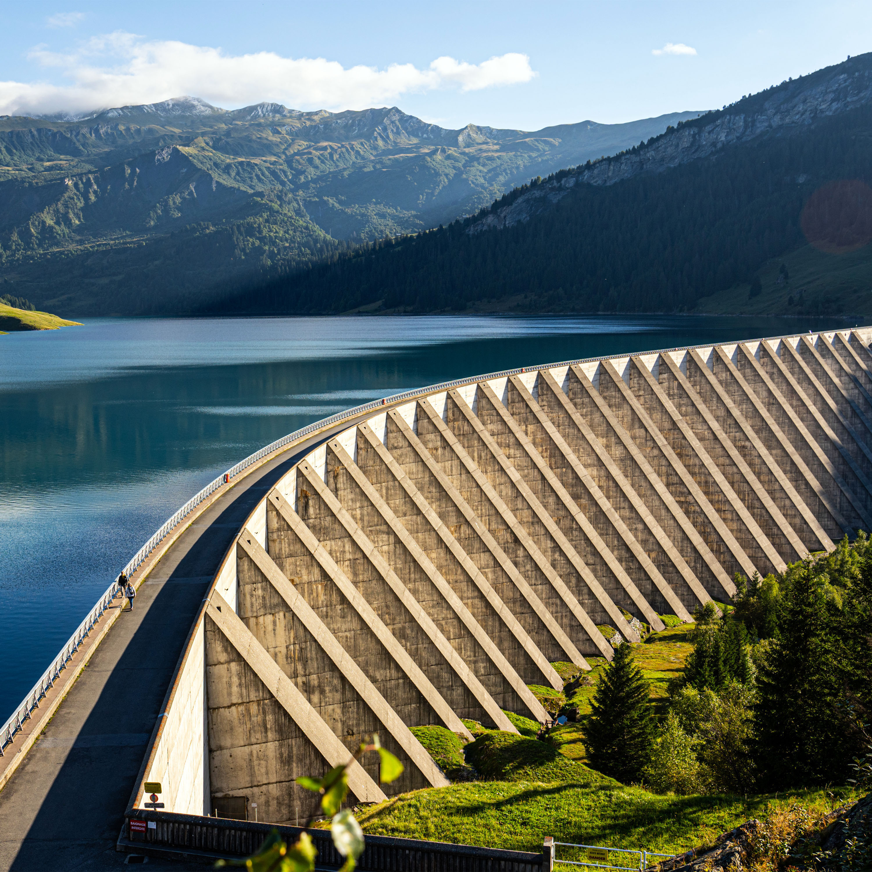 Dam removals, Colombia’s election and flat-sharing pensioners