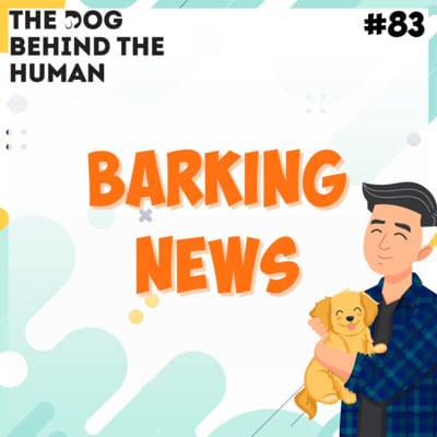 Artwork for podcast The Dog Behind The Human