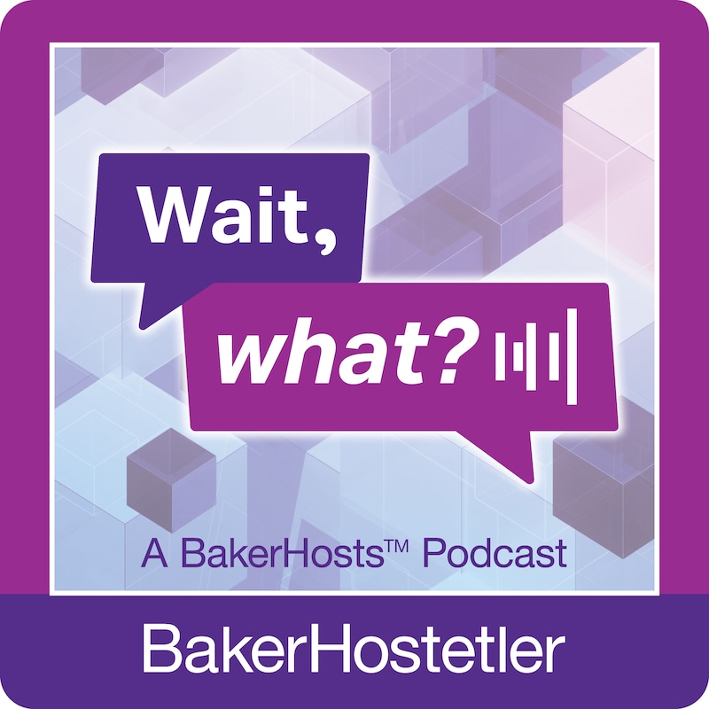 Artwork for podcast BakerHosts