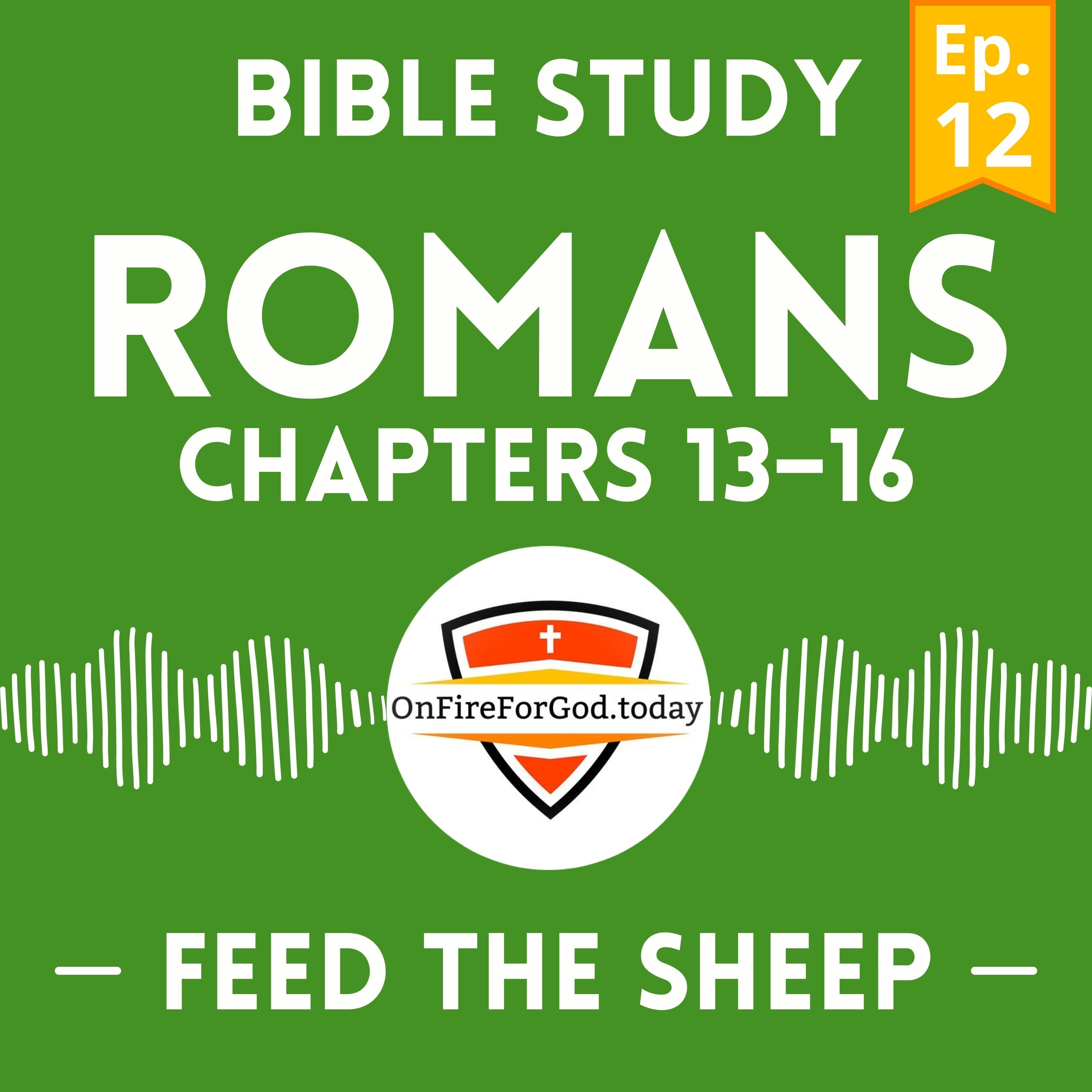 Artwork for podcast Feed The Sheep