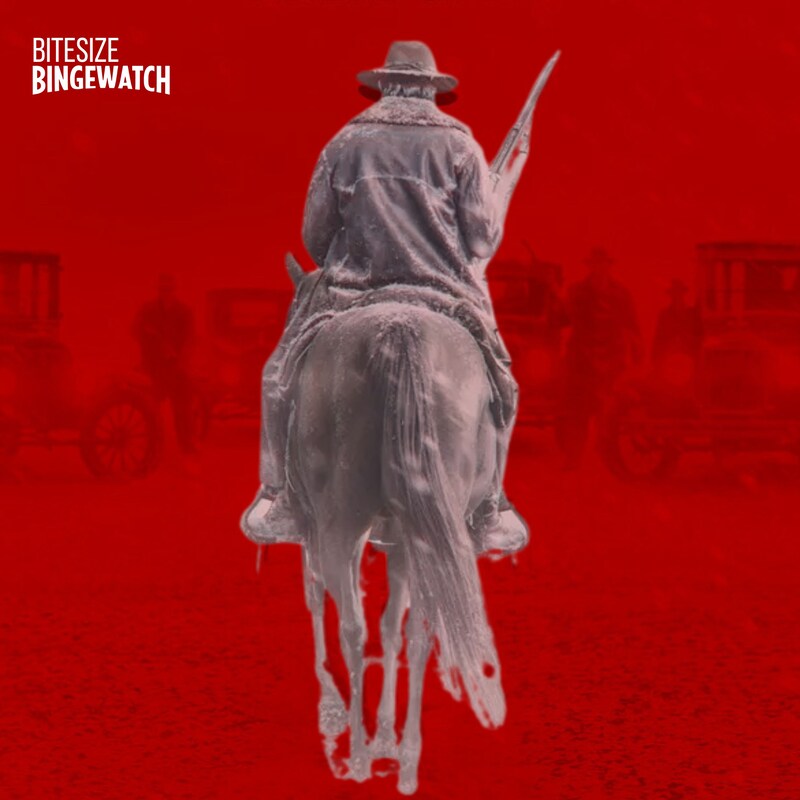 Artwork for podcast Bitesize Bingewatch